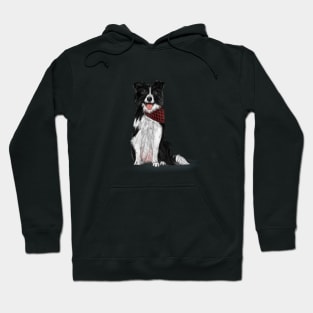 Border Collie Hoodie